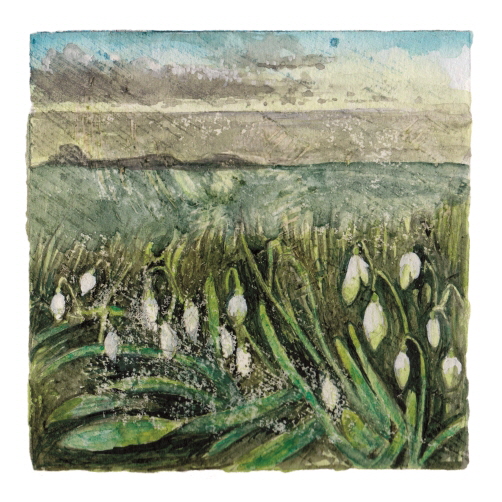 Week 5. Watercolour; Snowdrops on the north boundary wall.