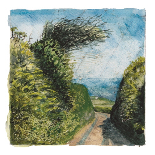 Week 27. Watercolour; Both sides of the hedge.